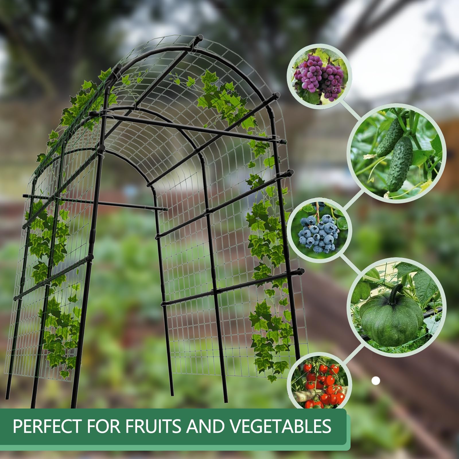 Arco de jardin Garvee para plantas trepadoras
